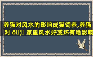 养猫对风水的影响成猫饲养,养猫对 🦆 家里风水好或坏有啥影响